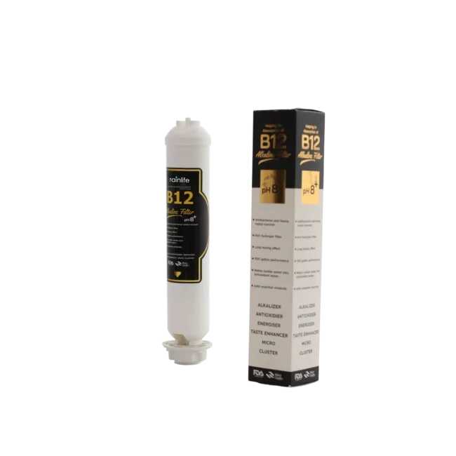 b12-filtr_urun3-650x650